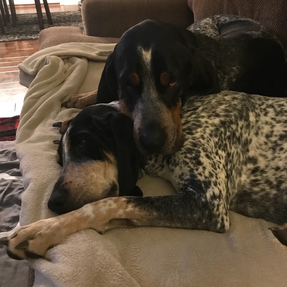 Meet your Posher, Marlee - Picture 5 of 5